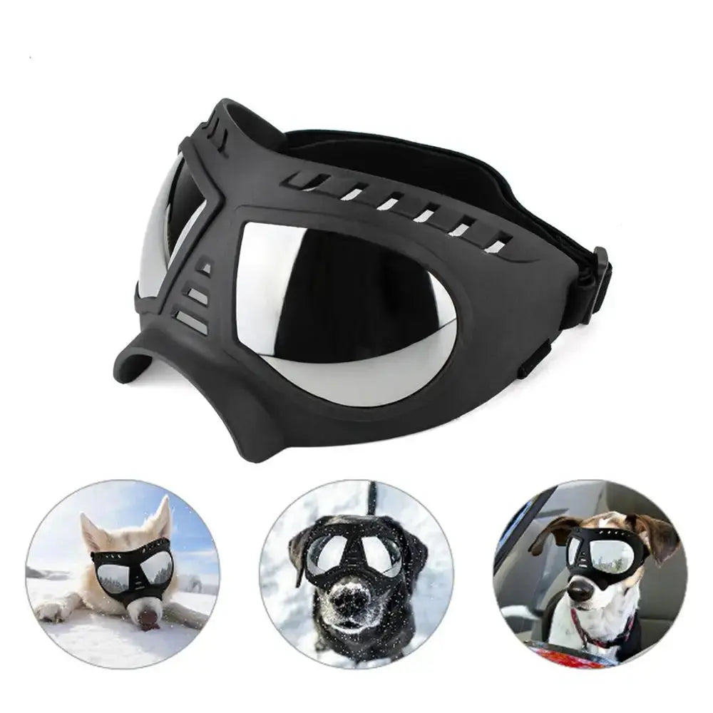 Accessoires | Lunettes pour chien - TurtlesTrip