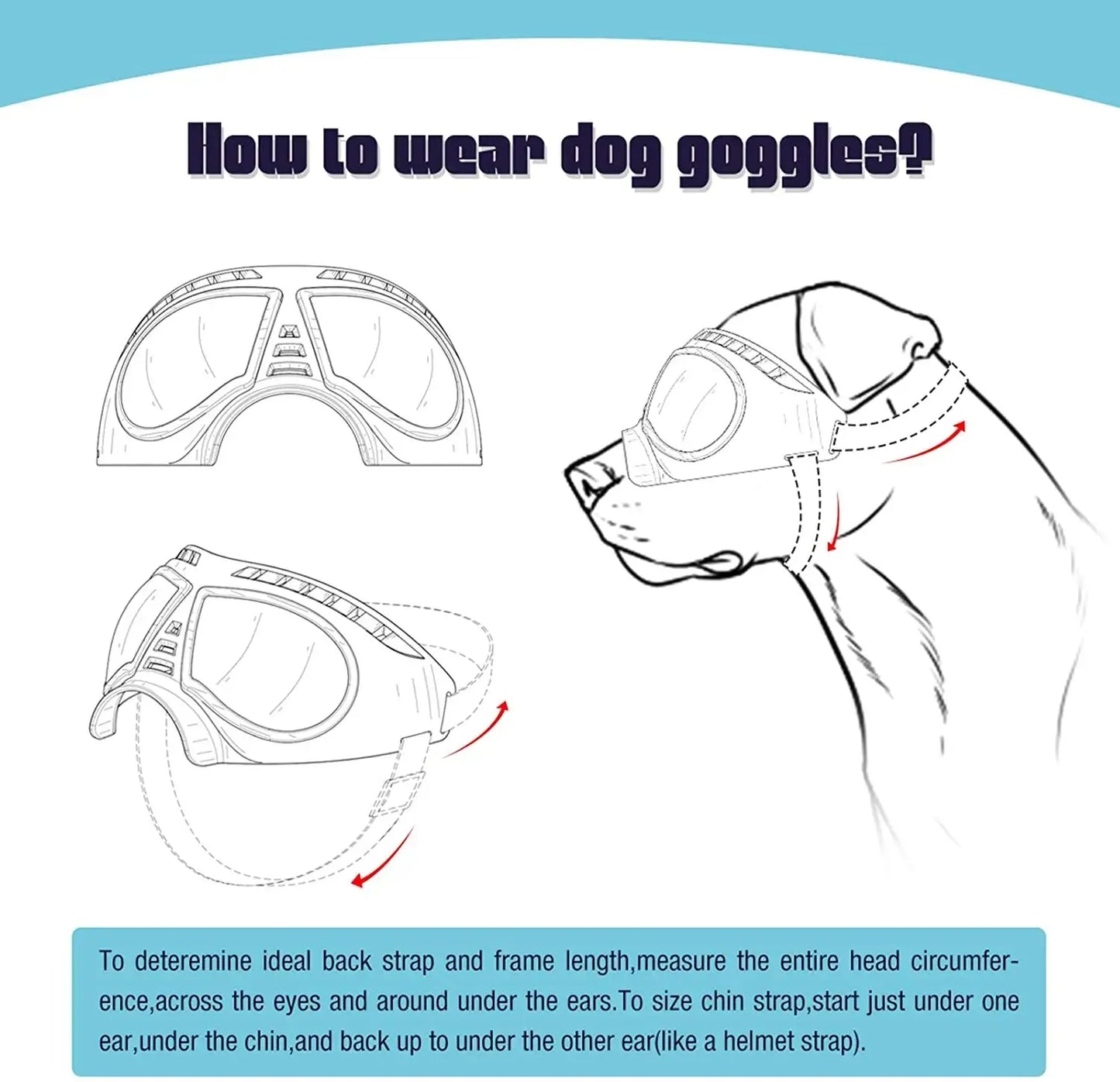 Accessoires | Lunettes pour chien - TurtlesTrip