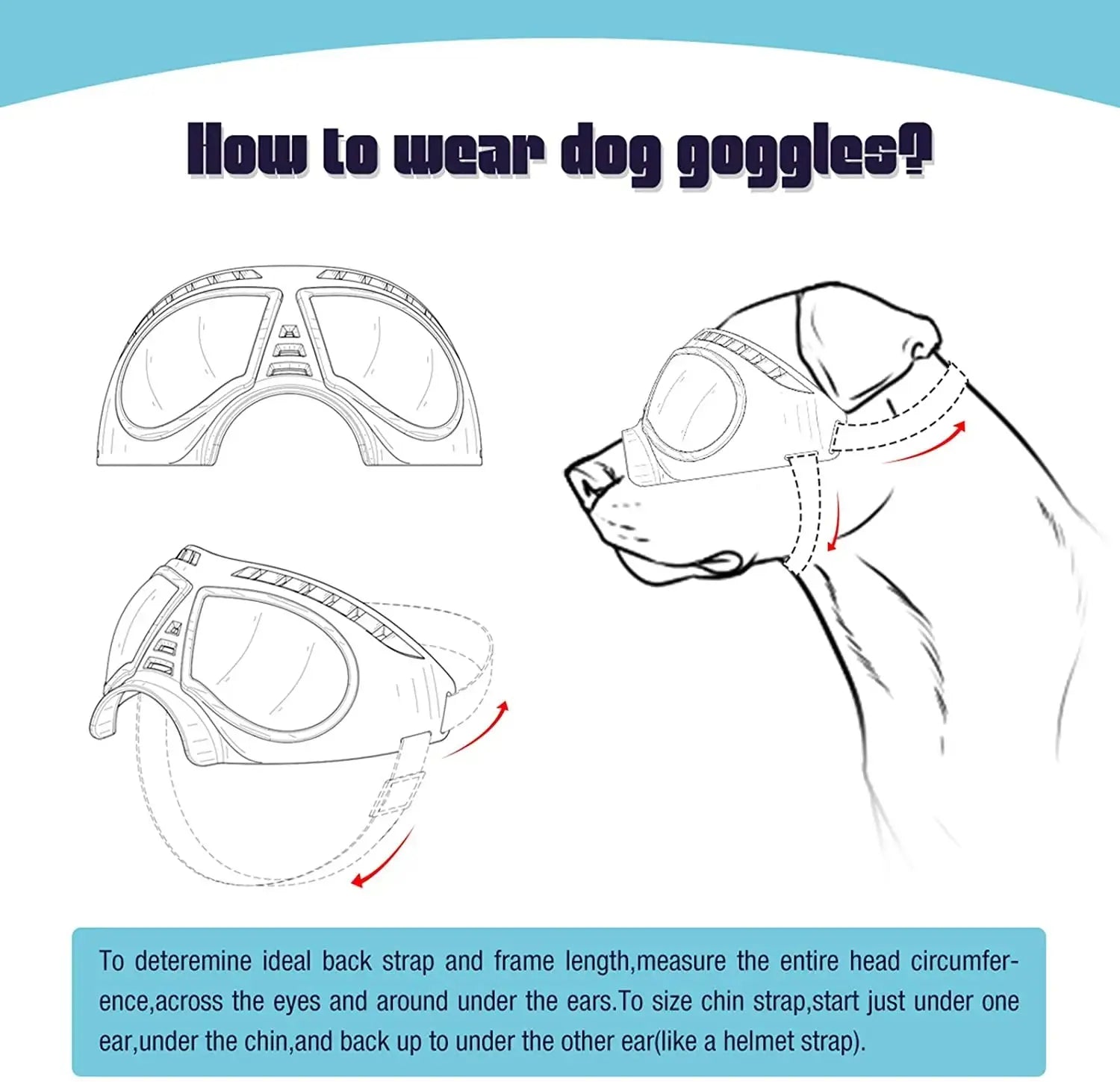 Accessoires | Lunettes pour chien - TurtlesTrip