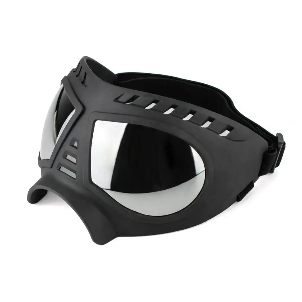 Accessoires | Lunettes pour chien - TurtlesTrip