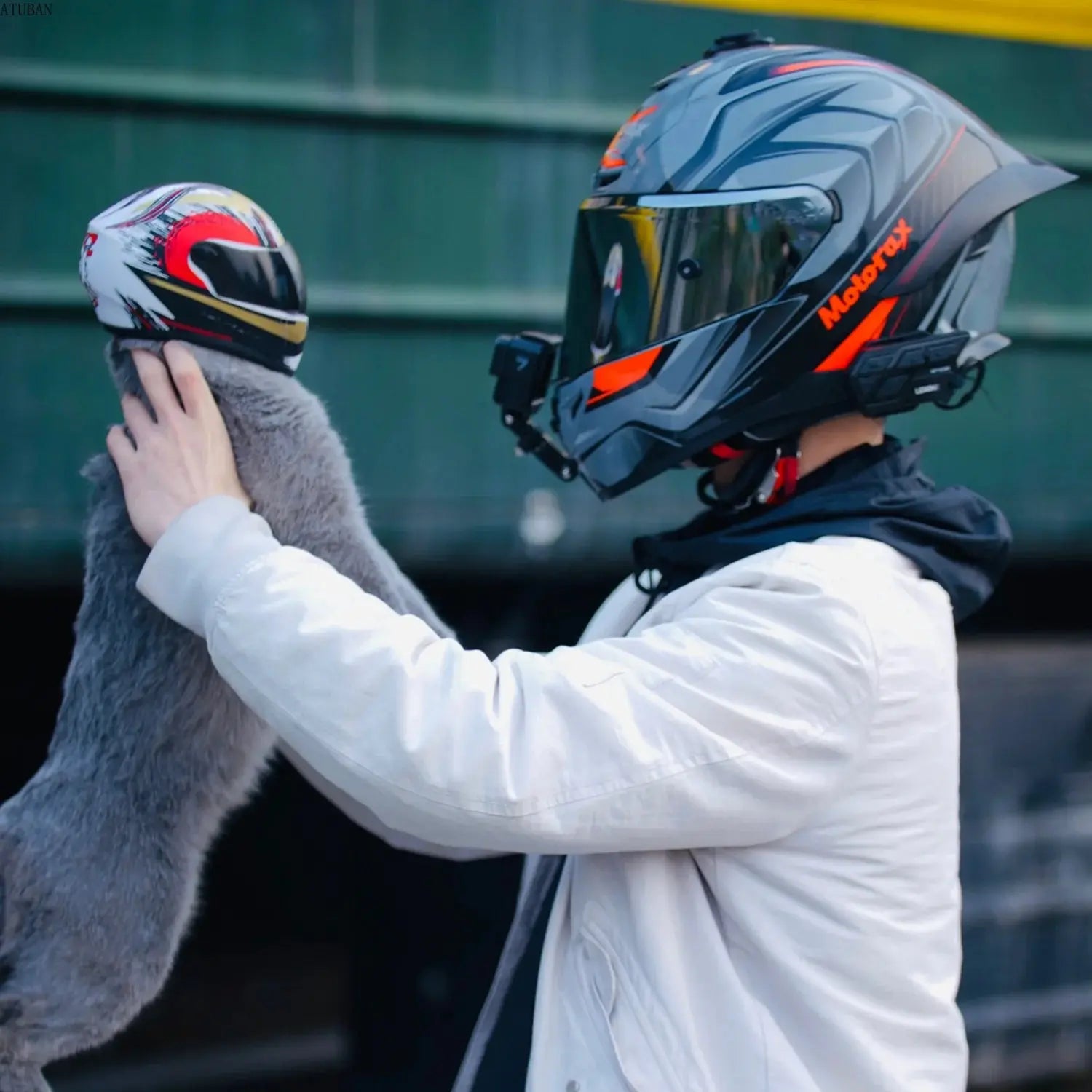 Accessoires | Casque moto pour DoggyCat - TurtlesTrip